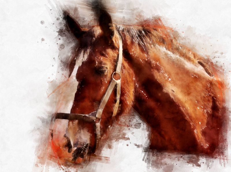 Watercolour horse portrait artwork
