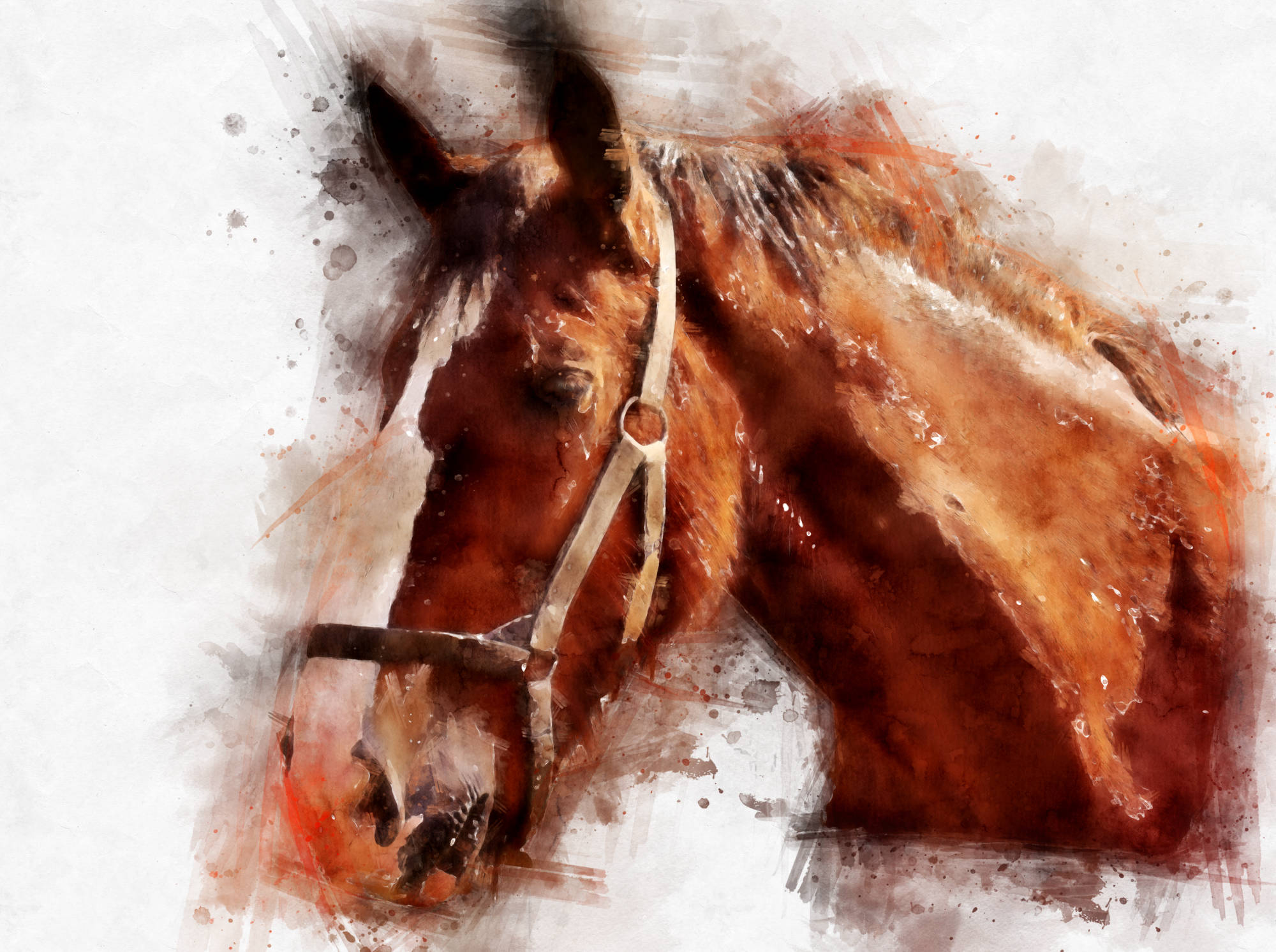 Watercolour horse portrait artwork